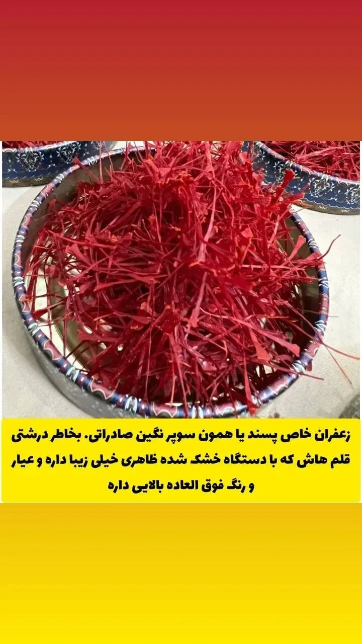 IMG 20250721 161358 096