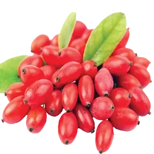 Zereshk 2
