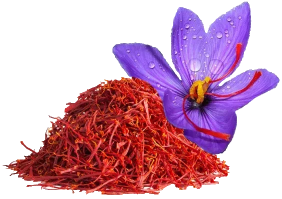 Saffron goal